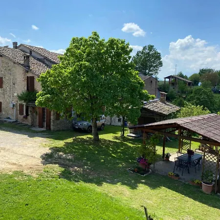 Cammino Nel Orman Evi *