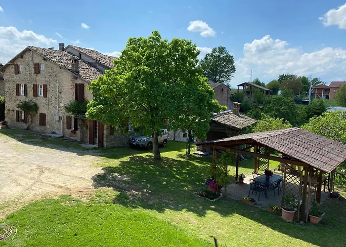 Cammino Nel Orman Evi *