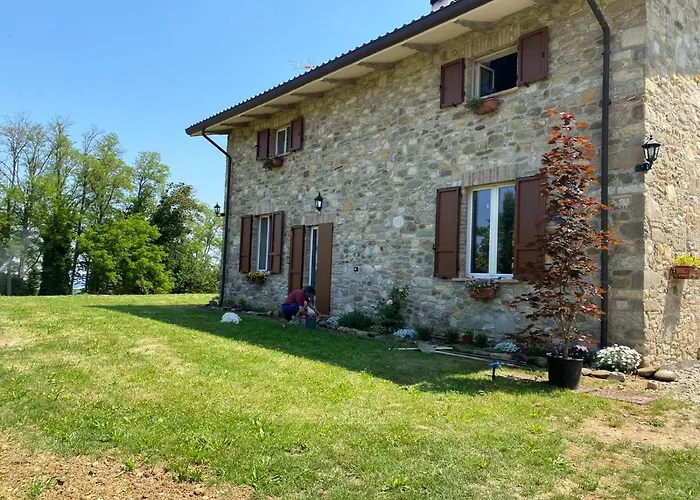 Orman Evi Cammino Nel