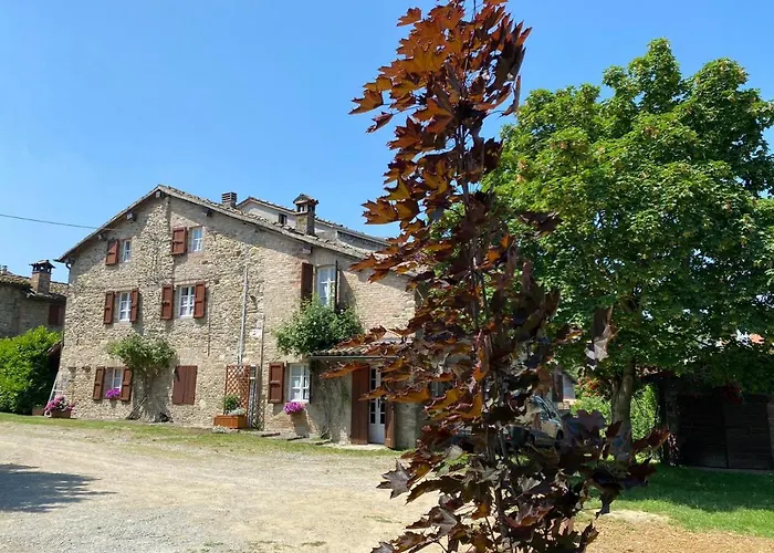 Orman Evi Cammino Nel *