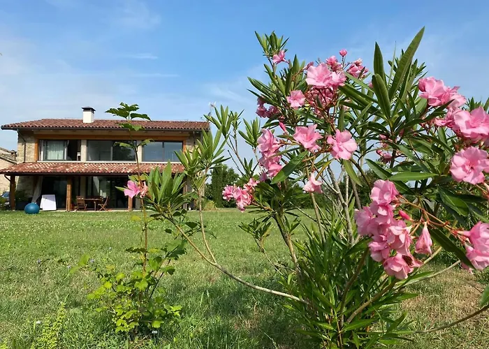 Orman Evi Cammino Nel *