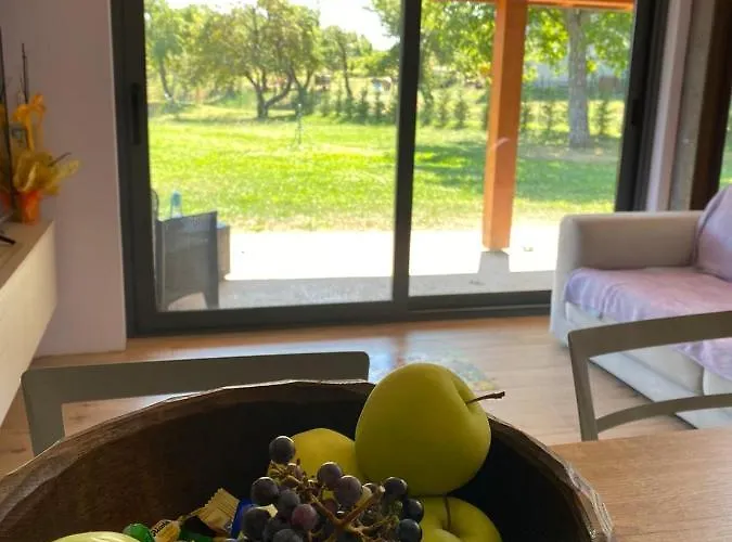 Orman Evi Cammino Nel *