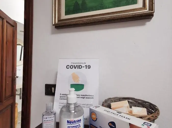 Orman Evi Cammino Nel *