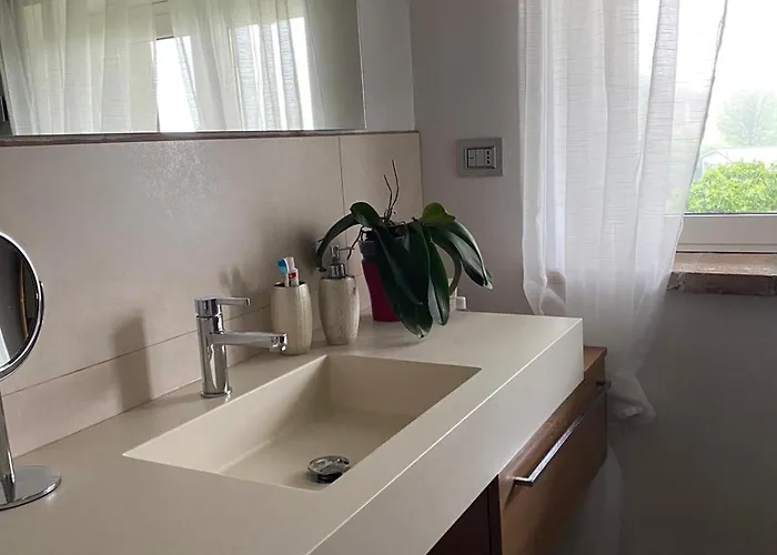 Orman Evi Cammino Nel