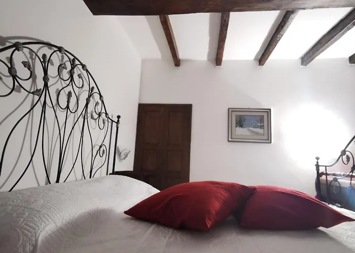 Cammino Nel Orman Evi Fornovo di Taro