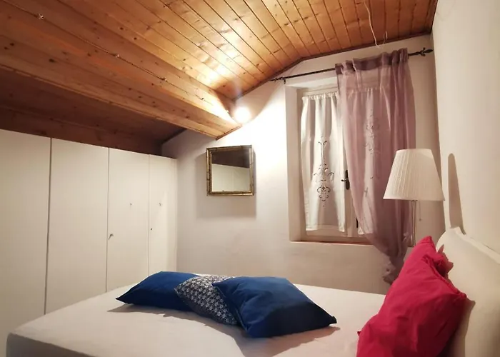 Cammino Nel Orman Evi *