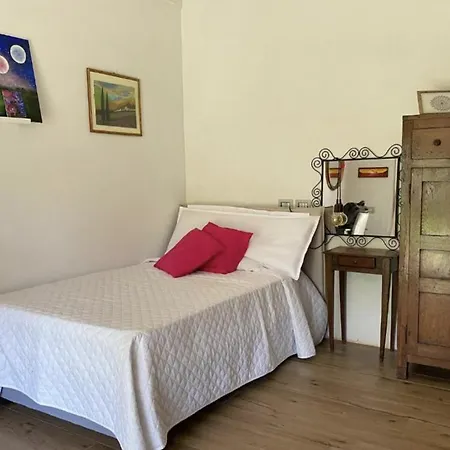 Cammino Nel