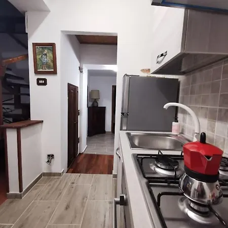 Cammino Nel *