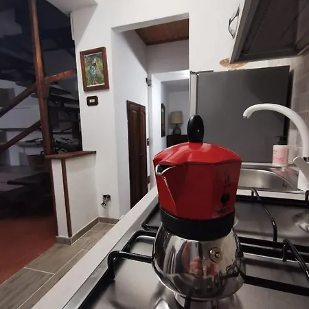 Cammino Nel