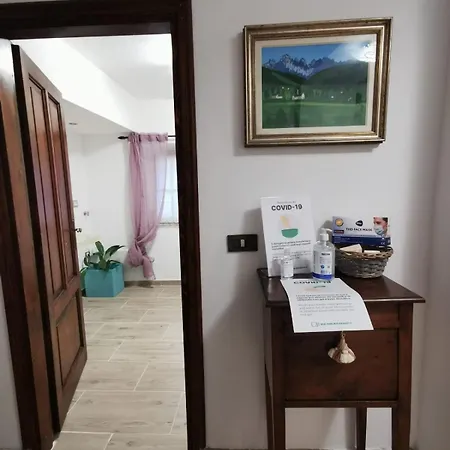 Cammino Nel